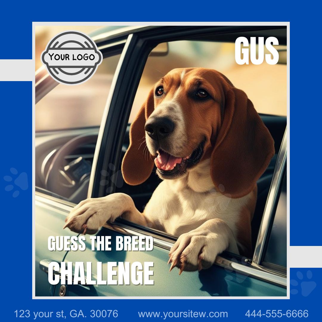 K9 Social Media Templates - 31 count - Editable