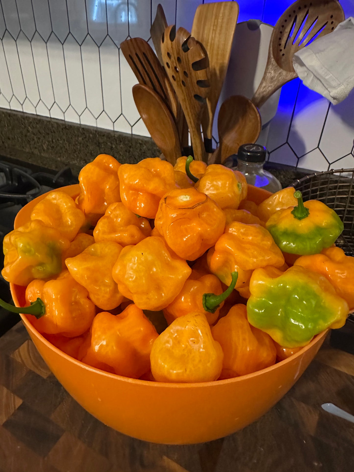 Scotch Bonnet Pepper Seeds 30 Count