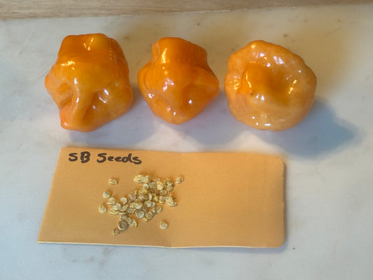 Scotch Bonnet Pepper Seeds 30 Count